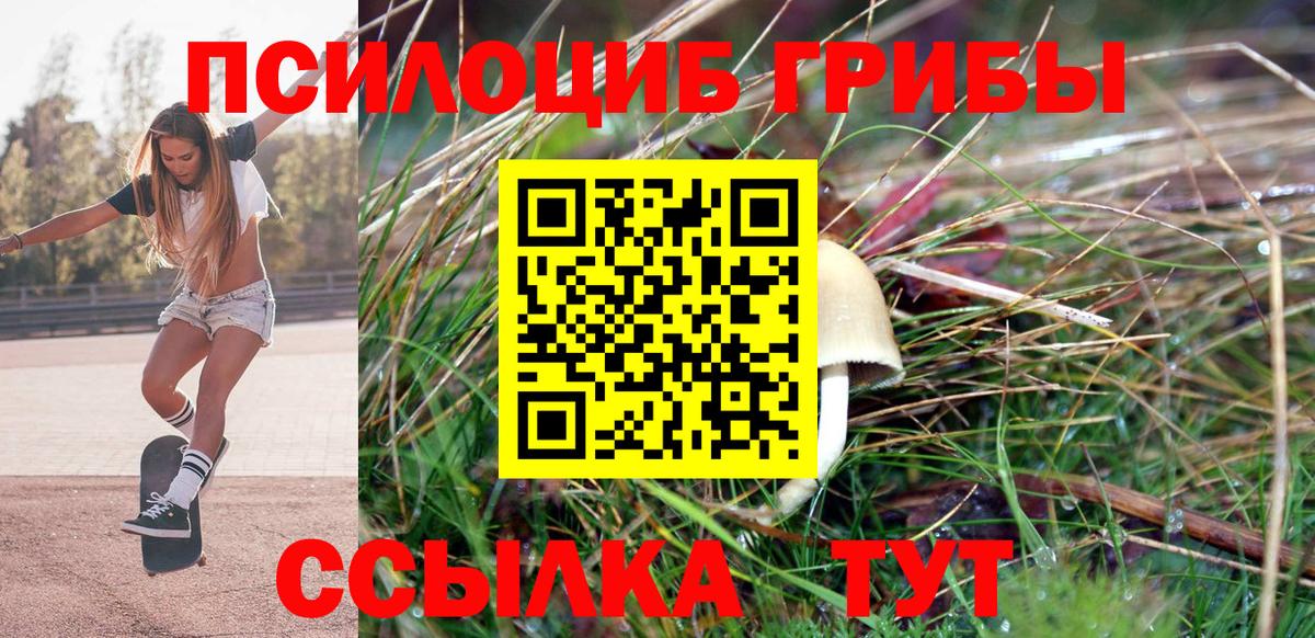 Псилоцибиновые грибы мухоморы Горячий Ключ