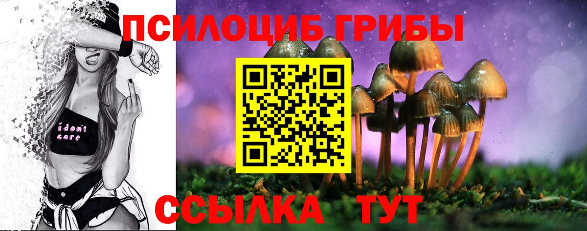 Галлюциногенные грибы прущие грибы  Вход с VPN  Горячий Ключ 